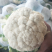精品菜花，大量出货，质量保证，一手货源，代发全国欢迎合作