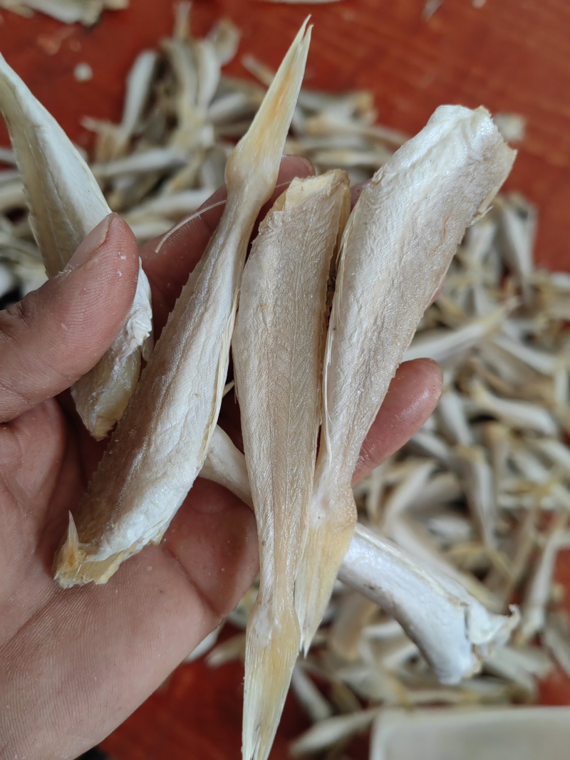 角条山东红娘鱼咸鱼干