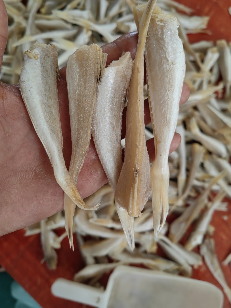 角条山东红娘鱼咸鱼干