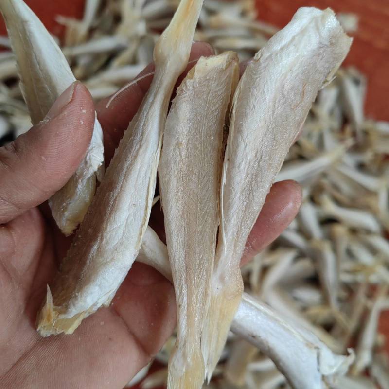 角条山东红娘鱼咸鱼干