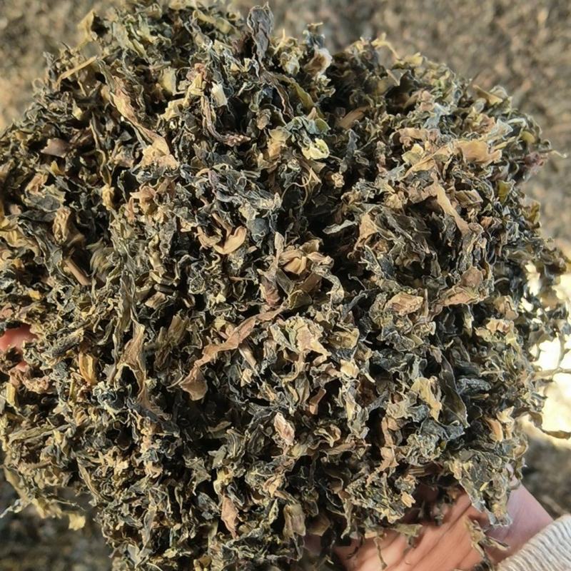 精品梅干菜货源充足量大从优质量保证欢迎咨询
