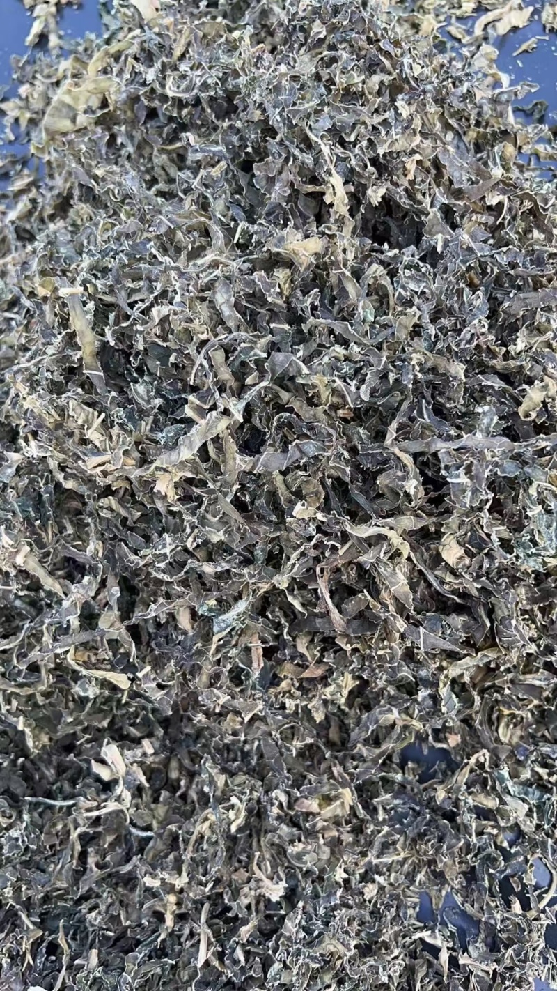 精品梅干菜货源充足量大从优质量保证欢迎咨询