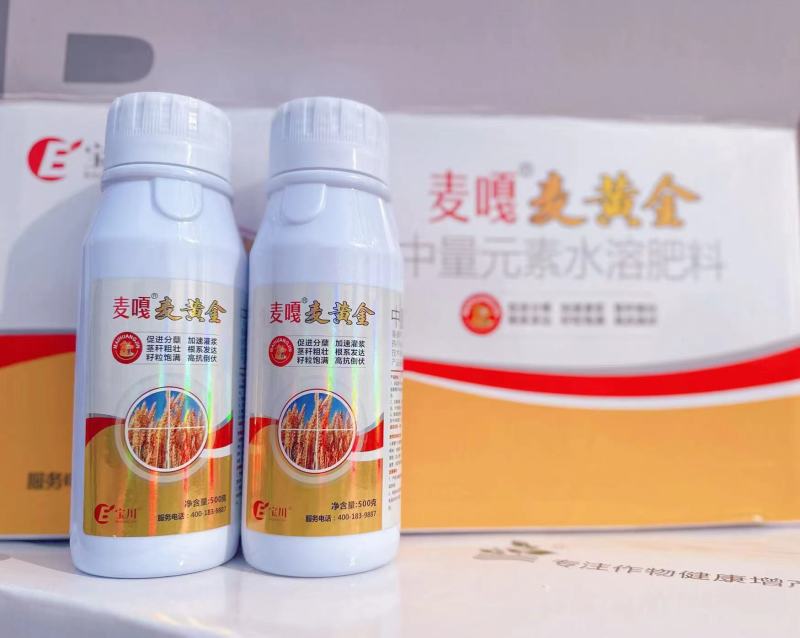 麦黄金小麦抗寒防冻壮苗促茎抗逆抗倒伏穗大粒饱叶面肥水溶肥