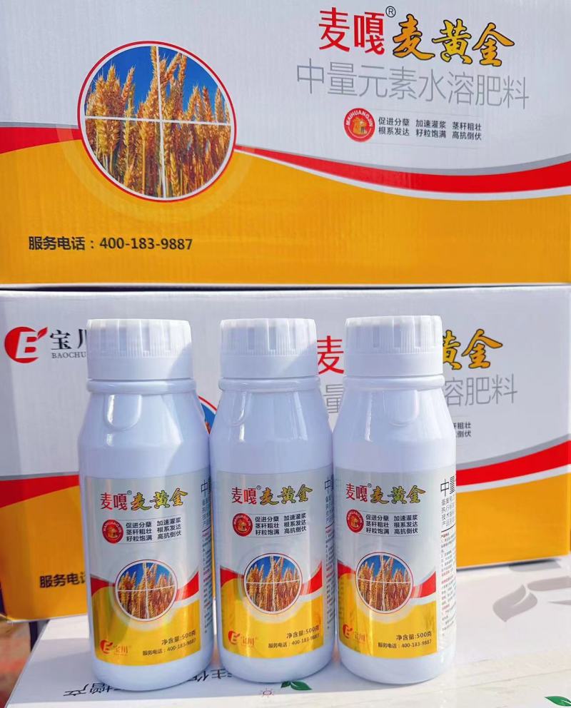 麦黄金小麦抗寒防冻壮苗促茎抗逆抗倒伏穗大粒饱叶面肥水溶肥