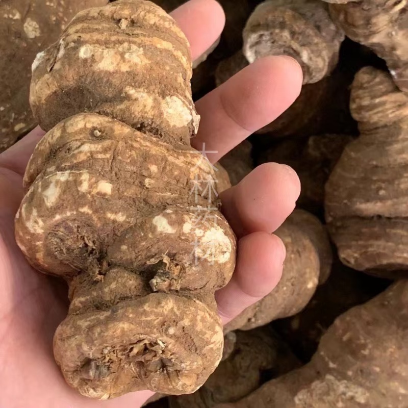 重楼【包邮】三斤起发货可批量可零售量大从优