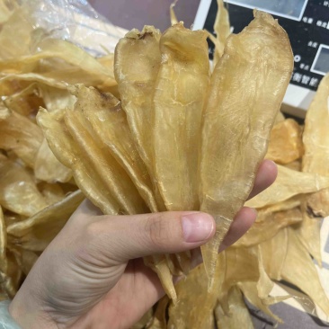 野生红口胶（豆仁胶）45头老货