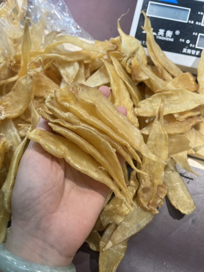 野生红口胶（豆仁胶）45头老货