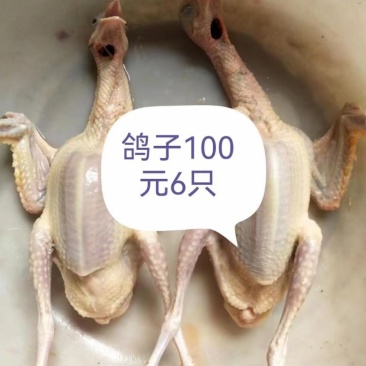 烤乳鸽