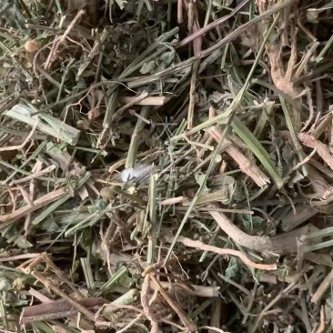 冰糖草【包邮】三斤起发货可批量可零售量大从优