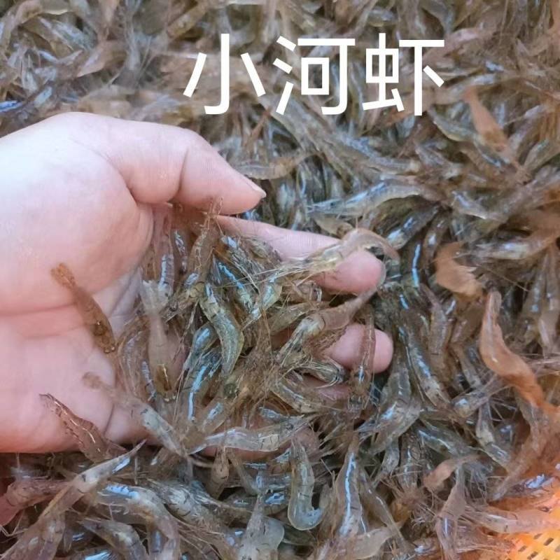 你好老板:[庆祝]我常年供应各种饭店用品:[庆祝][庆