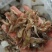 你好老板:[庆祝]我常年供应各种饭店用品:[庆祝][庆
