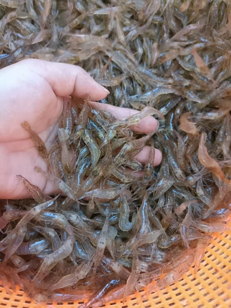 你好老板:[庆祝]我常年供应各种饭店用品:[庆祝][庆