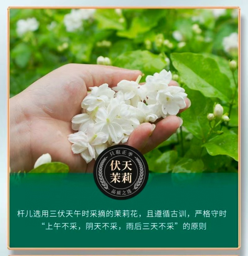 1斤新茶茉莉飘雪浓香型茉莉花茶高山绿茶碧螺春