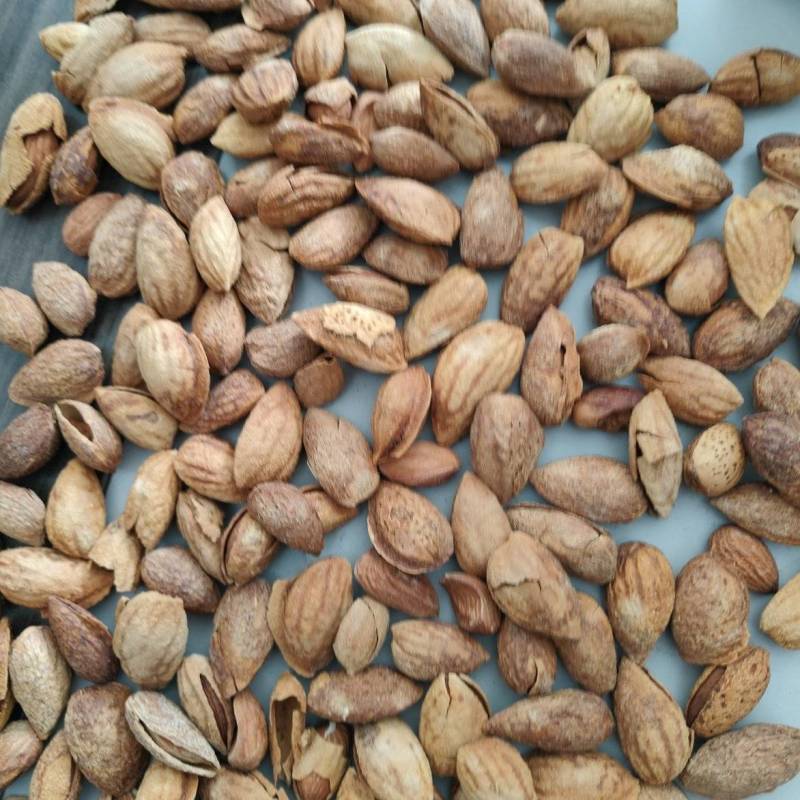 巴旦木，新疆临安，奶油味巴旦木临安口味，口味独特