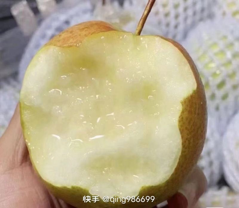 祁县酥梨有着得天独厚的生长环境，风味独特、品质上乘。