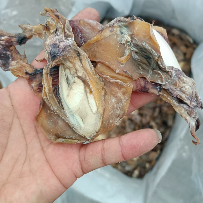 墨鱼干