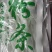 大宽粉