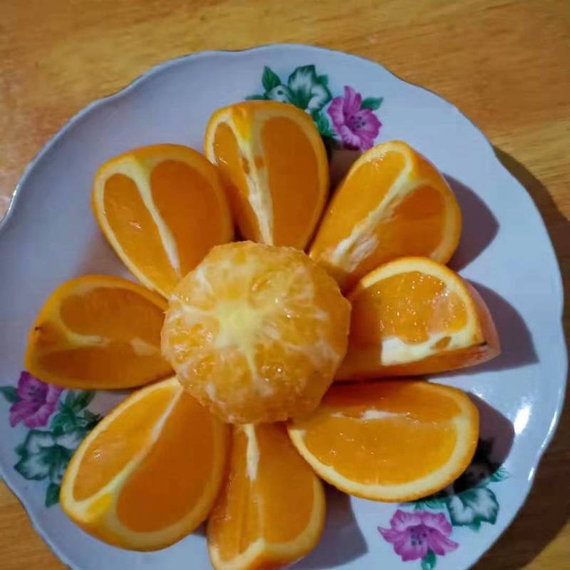 脐橙