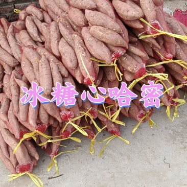 哈密红薯
