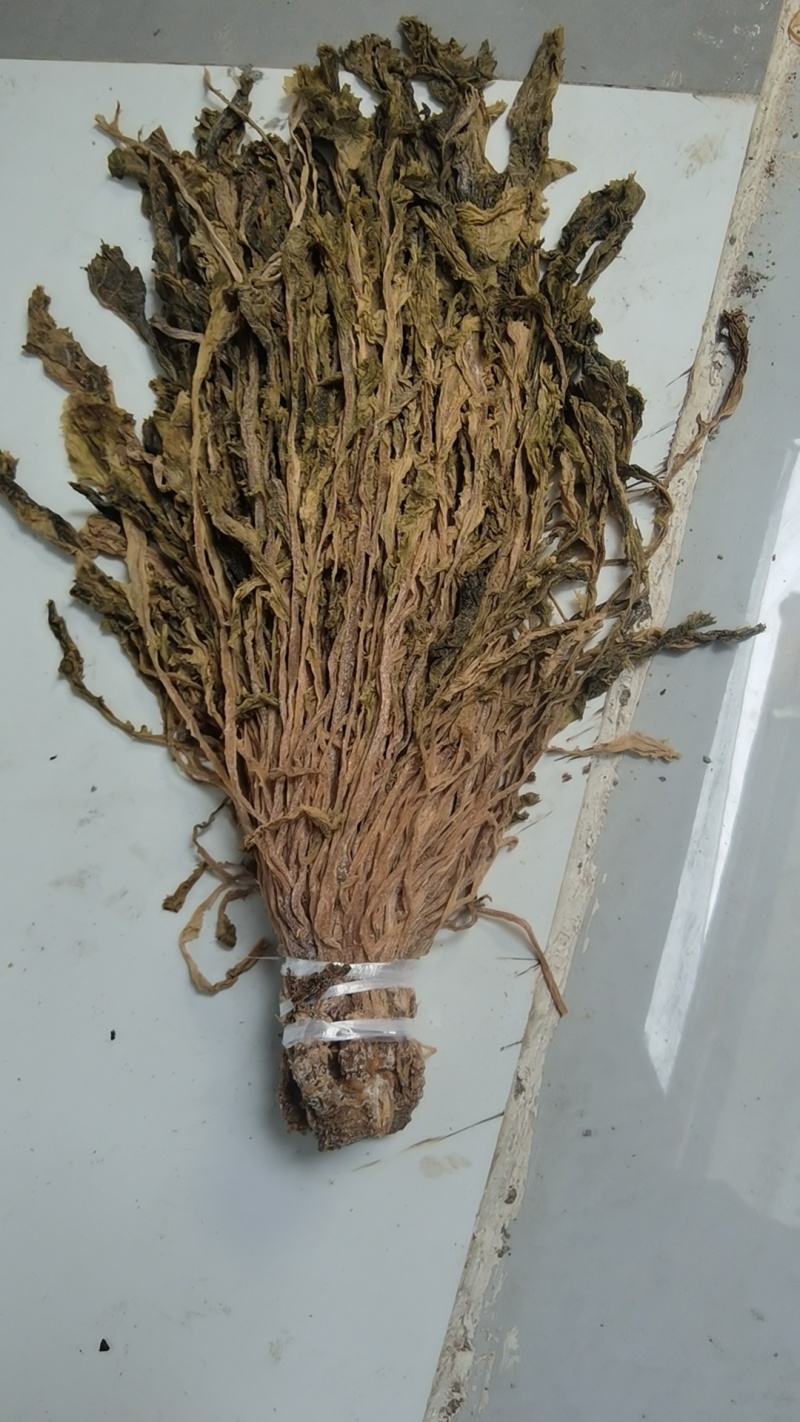 整颗梅干菜，色黄，味香，根小，大量有货，随时发货，