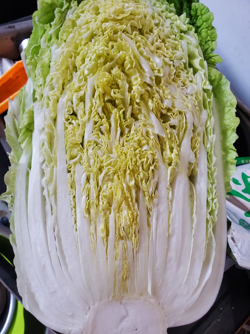 黄心白菜可供加工厂，泡菜，酸菜
