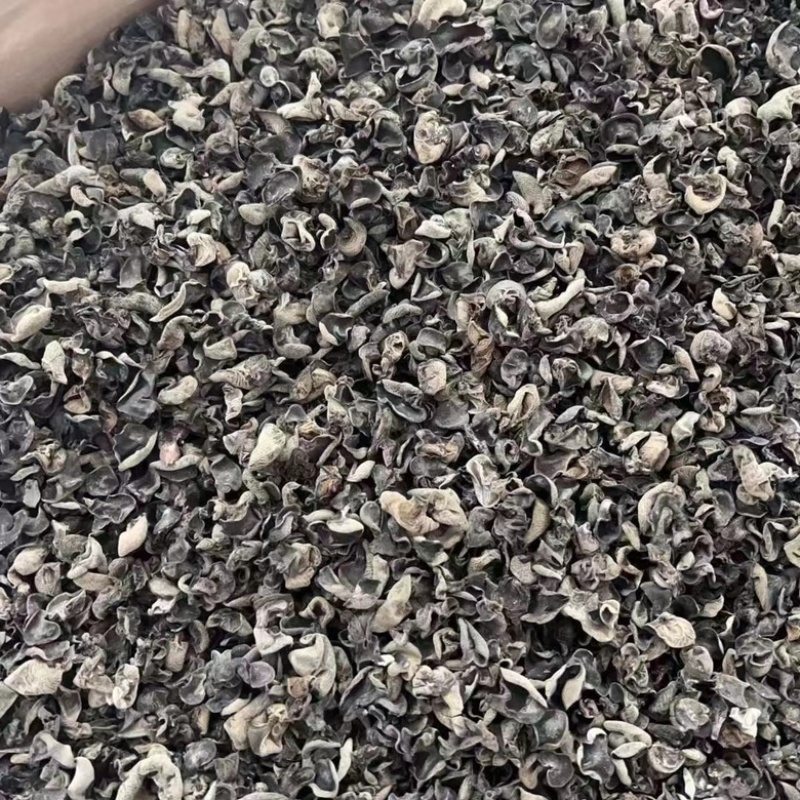 东北黑木耳干货秋木耳肉厚无根段干货批发