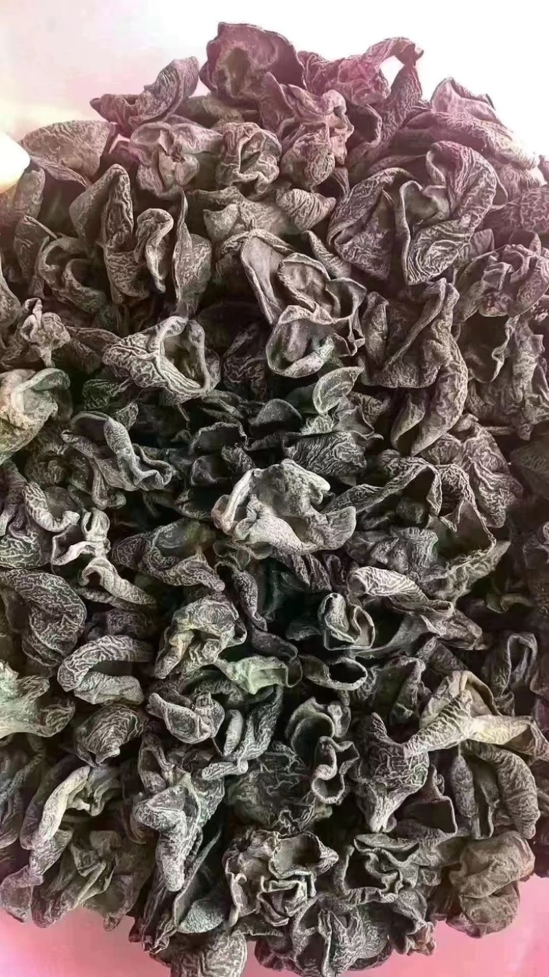 东北黑木耳干货秋木耳肉厚无根段干货批发