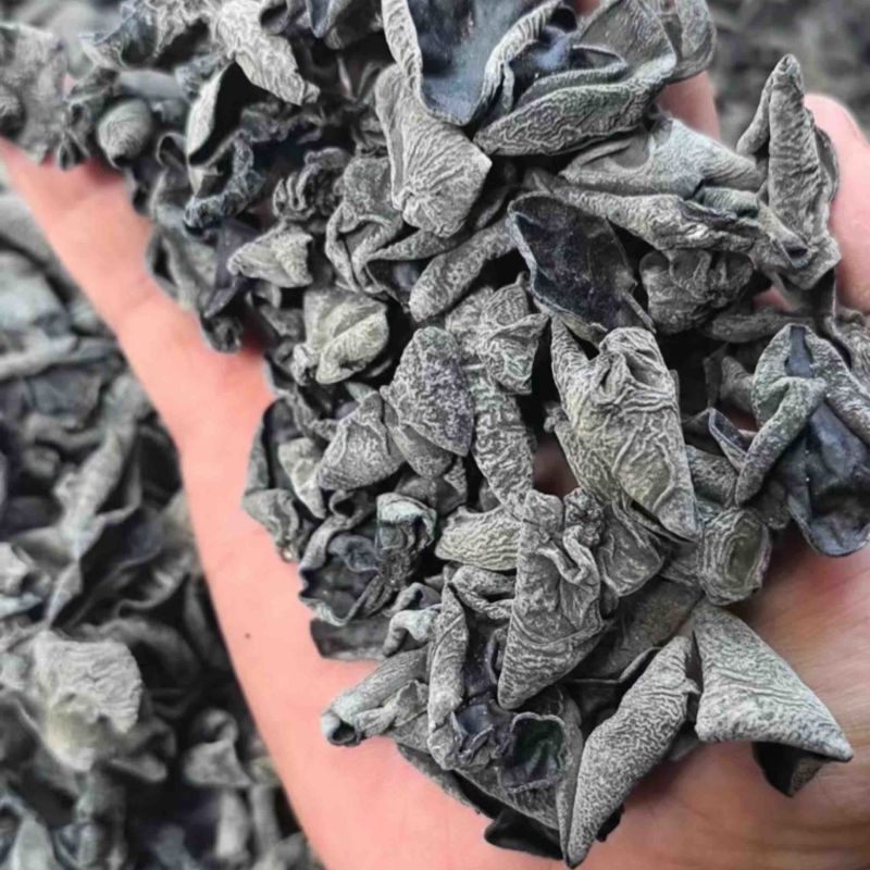 东北黑木耳干货秋木耳肉厚无根段干货批发