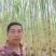 云南黄金甘蔗产地一手直发