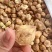 新疆无花果干原味自然晒干天然3a级果干批发