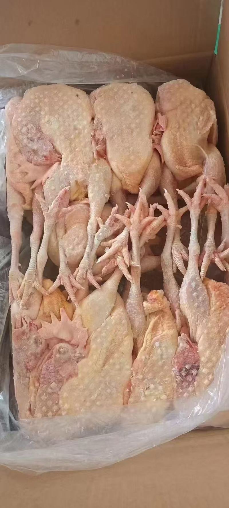 一级干货老母鸡，长腿短腿，规格齐全，低于市场价出售