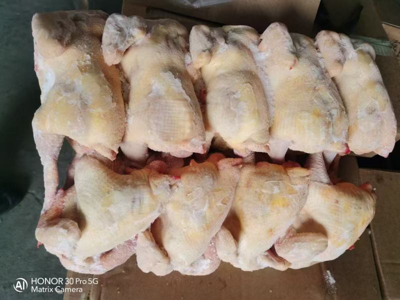 一级干货老母鸡，长腿短腿，规格齐全，低于市场价出售