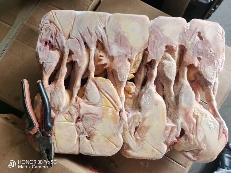 一级干货老母鸡，长腿短腿，规格齐全，低于市场价出售