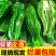 薄皮青辣椒大量供应，量大从优，各种规格齐全欢迎咨询