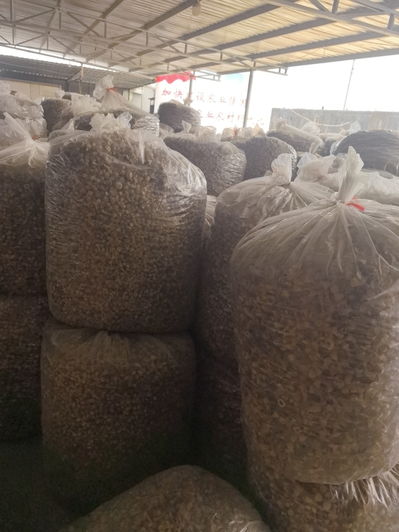 自家种植姬松茸，本色姬松茸中个通货常年有货源可开发票