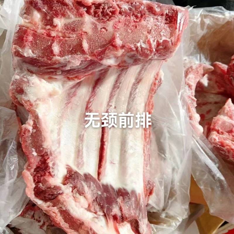 无颈前排新货。新日期