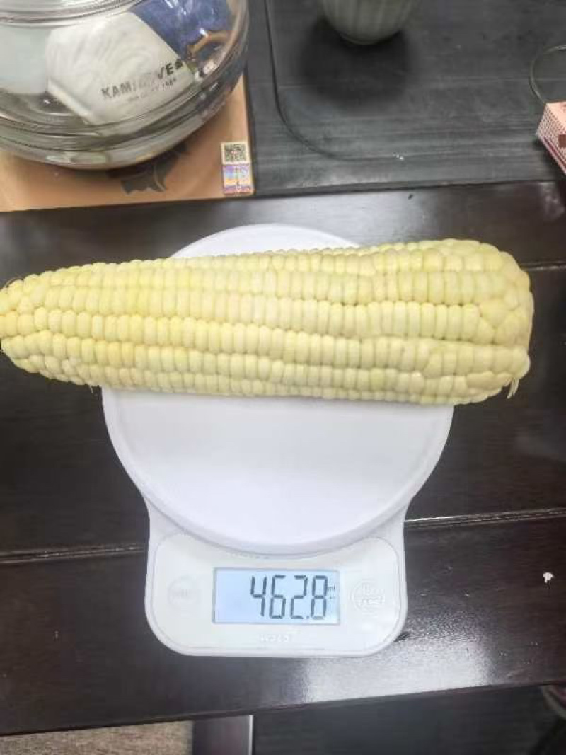 太阳花水果玉米