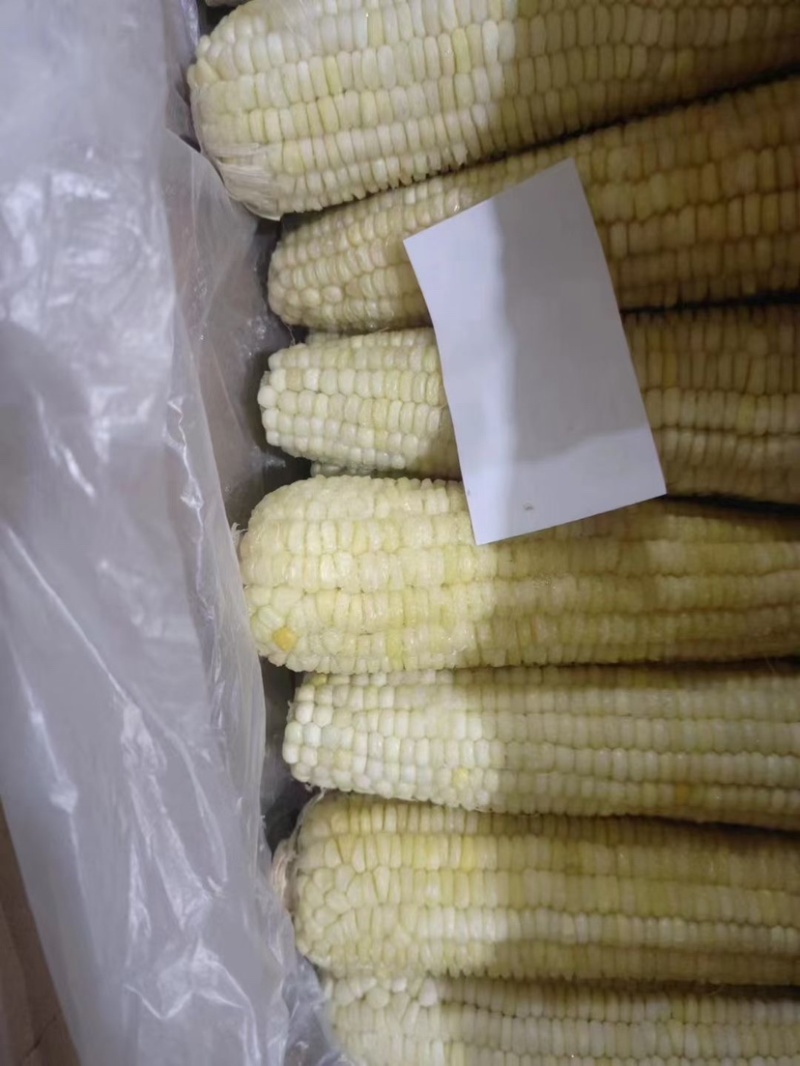 太阳花水果玉米