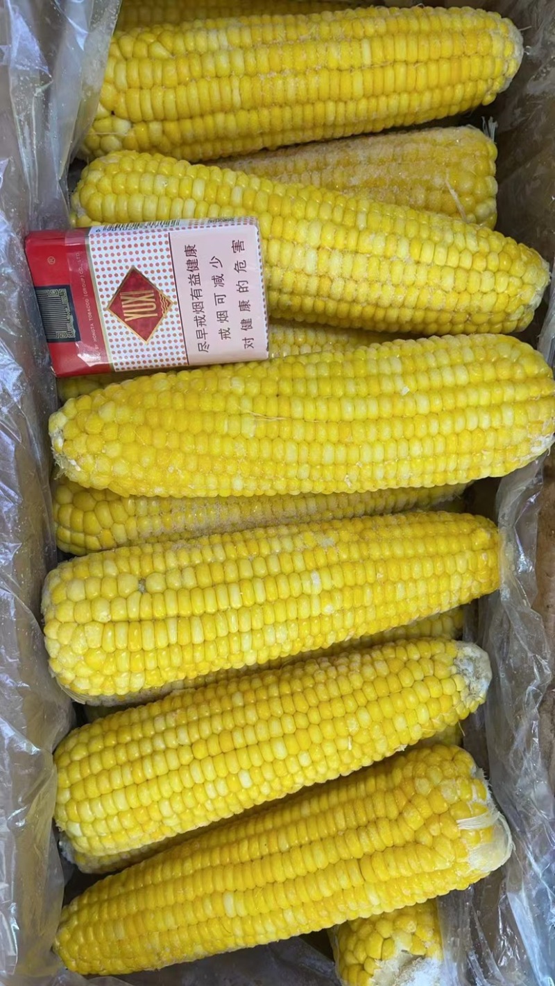 太阳花水果玉米