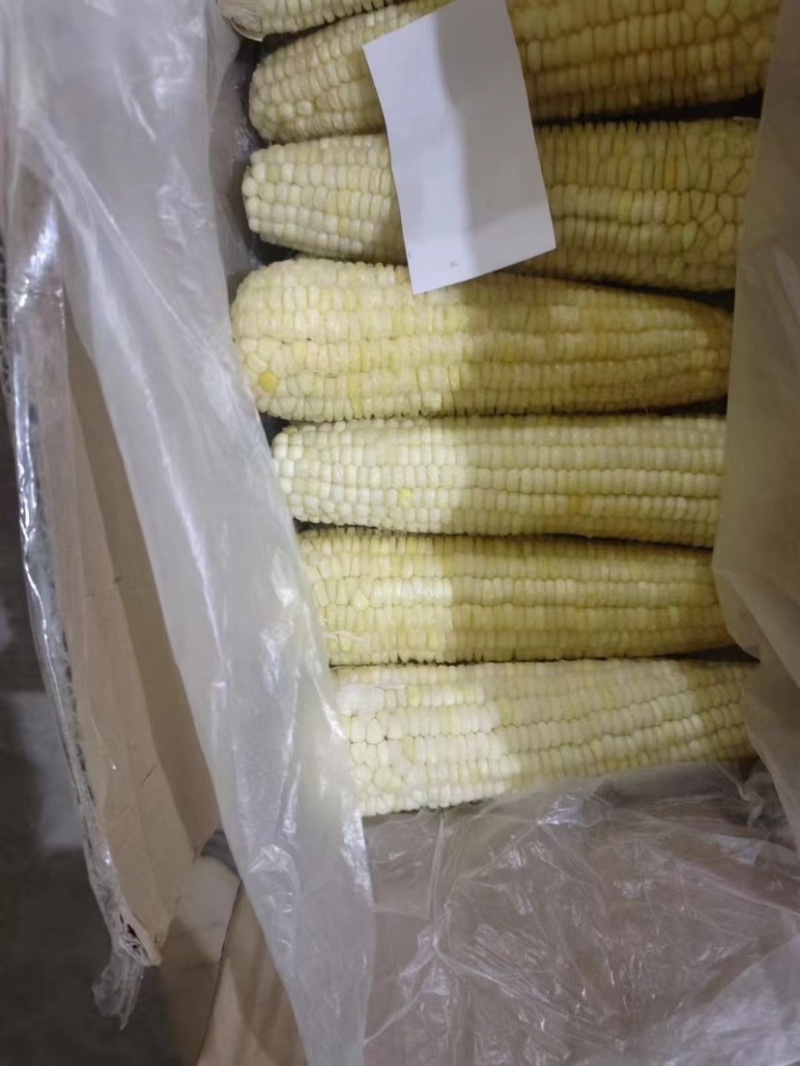 太阳花水果玉米