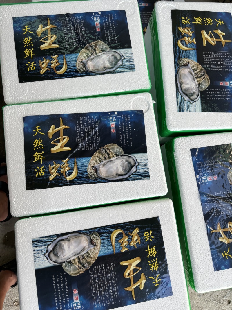 小包装福建生蚝一口蚝