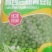 青豆