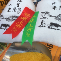 黄小米