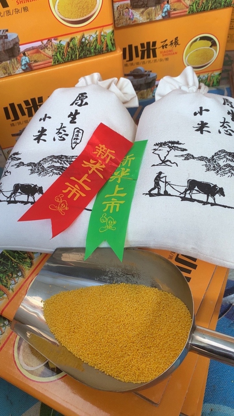 黄小米