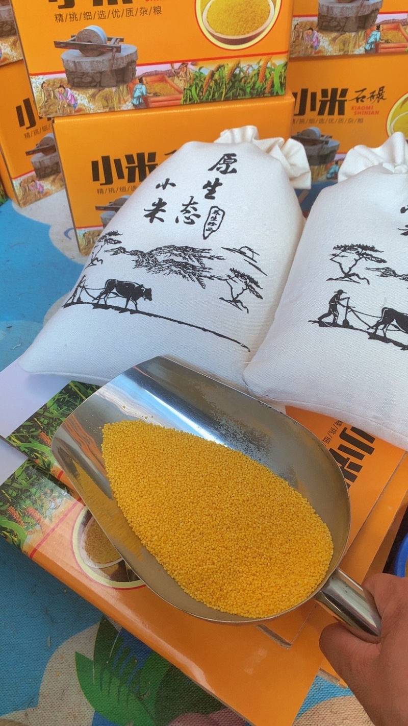 黄小米