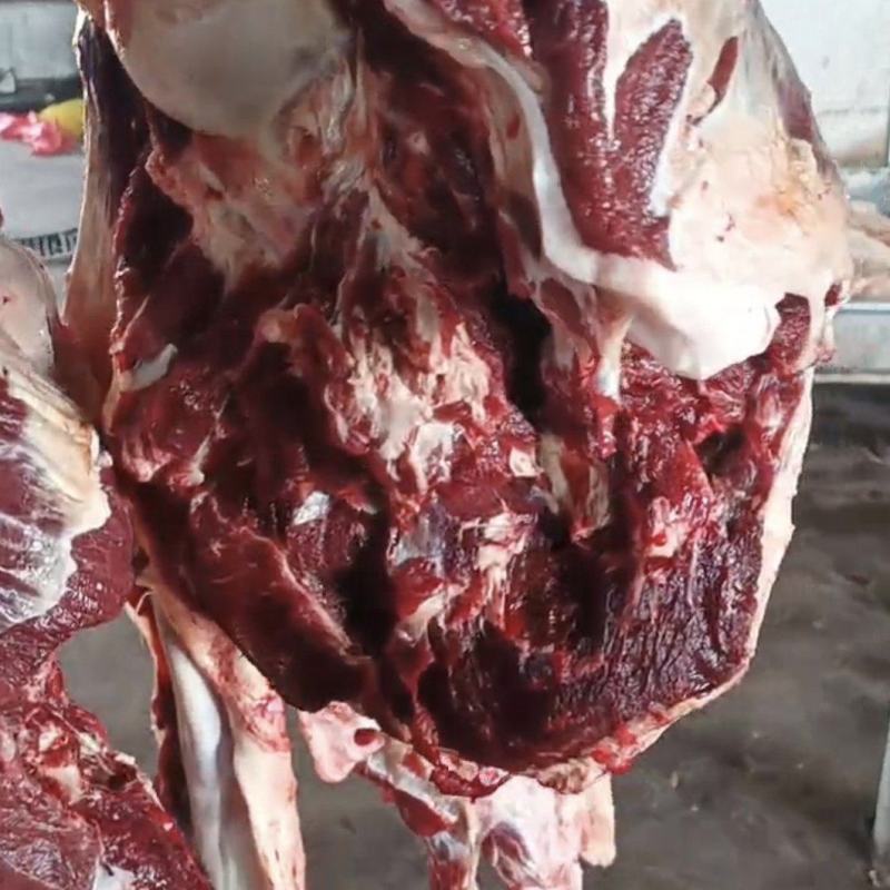 黄牛肉