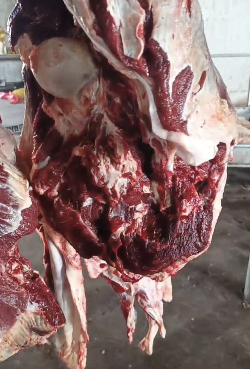 黄牛肉