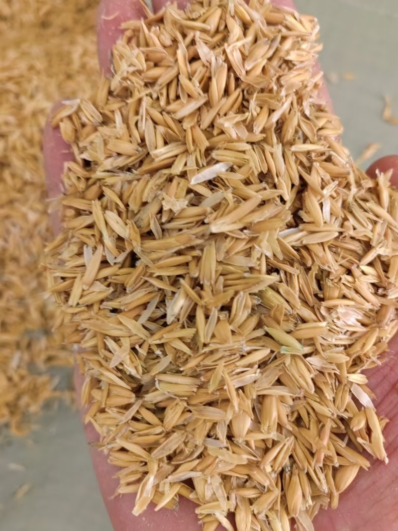 燕麦壳现货，俄罗斯进口燕麦壳现货现货……