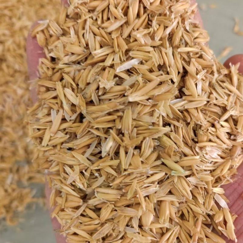 燕麦壳现货，俄罗斯进口燕麦壳现货现货……