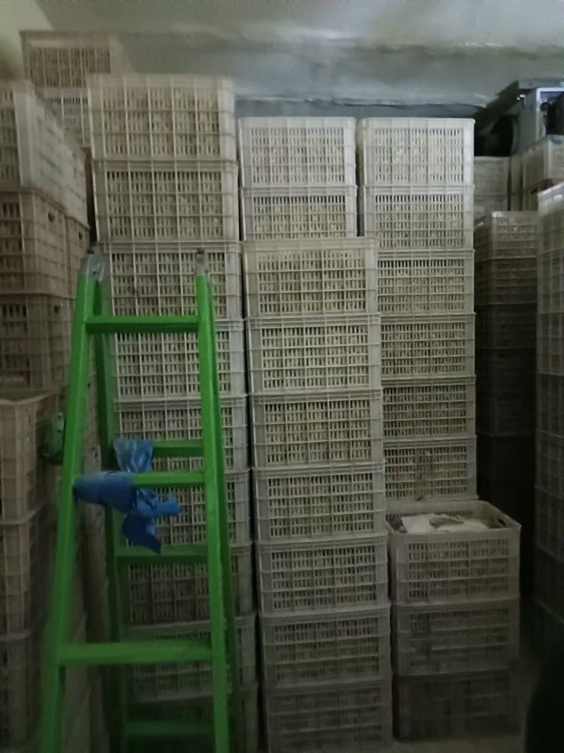 山东冬枣冷库冬枣货源充足，对接社区团购美团多多买菜电商